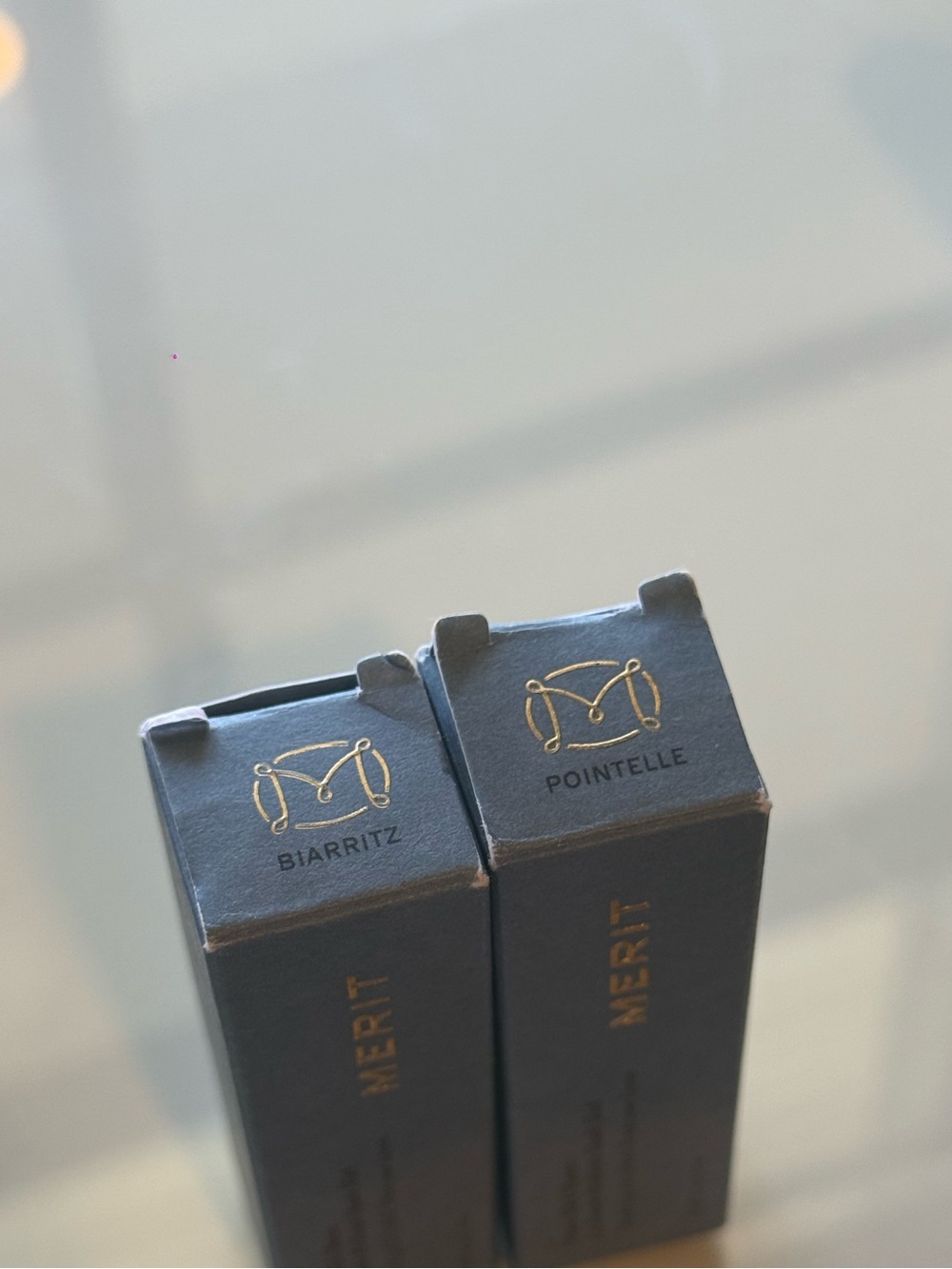 MERIT Shade Slick Sheen Tinted Lip Oil - Picture 3 of 3